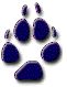 wolf paw graphic