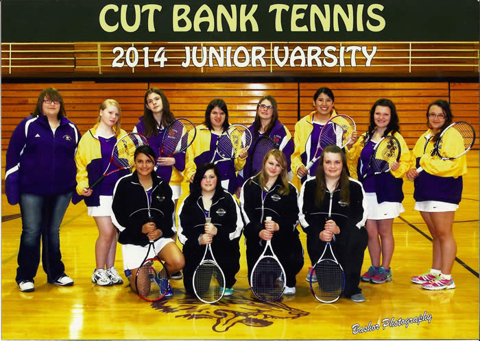 Picture of 2014 Wolves' girls JV team