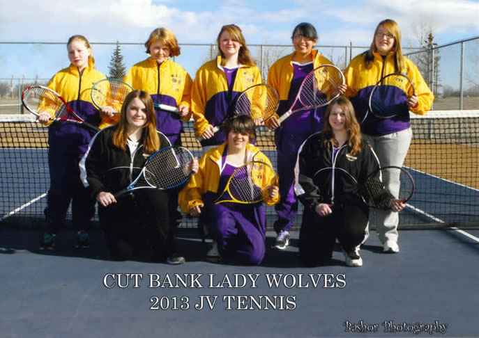 Picture of 2013 JV girls' team